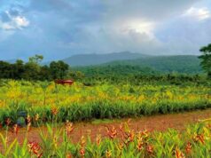 Goa’s Tourism Set For A Revamp?