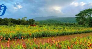 Goa’s Tourism Set For A Revamp?