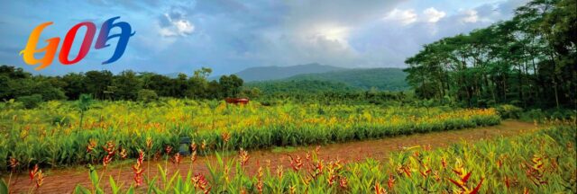 Goa’s Tourism Set For A Revamp?