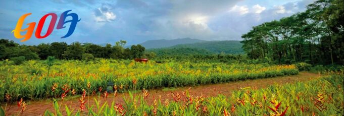 Goa’s Tourism Set For A Revamp?