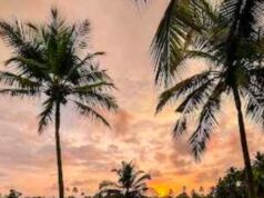 Edge – Tropical Bar & Kitchen at Alila Diwa Goa is Now Open!