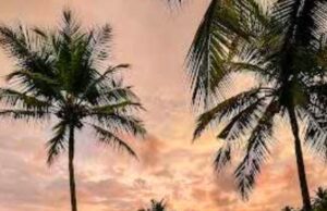 Edge – Tropical Bar & Kitchen at Alila Diwa Goa is Now Open!