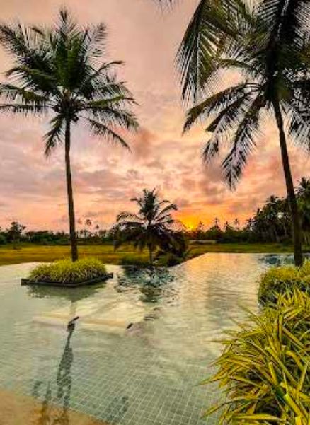 Edge – Tropical Bar & Kitchen at Alila Diwa Goa is Now Open!