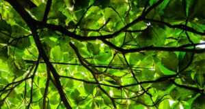 Greener Mining in the Making