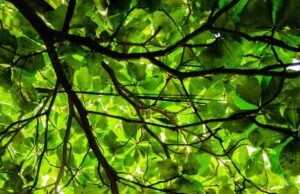 Greener Mining in the Making