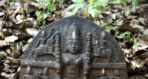 The Sacred Groves of Goa